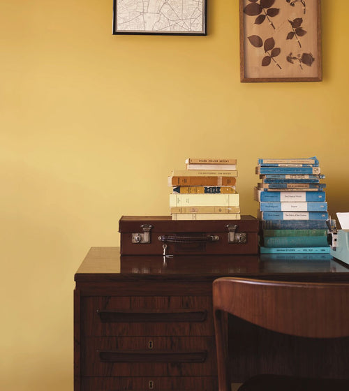 Goldfinch Paint Yellow & Orange Paint Goldfinch Paint Yellow & Orange Paint