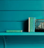 Eggshell / 750ml Blue Paint [
