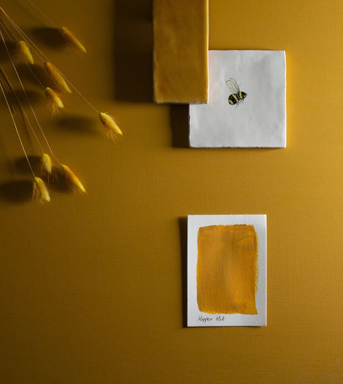 Hoppers Hat Paint Earthy Tone Paint