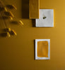 Eggshell / 750ml Earthy Tone Paint [