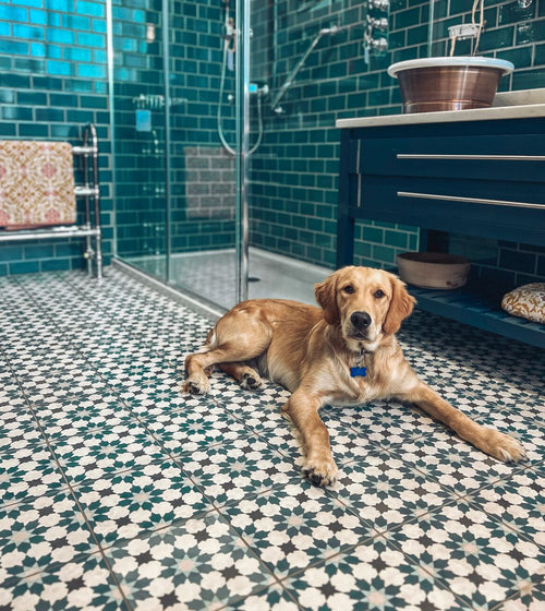 Infusion Amparo Patterned Tile Bathroom Wall Tiles