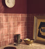 Eggshell / 2.5L Dark Paint [