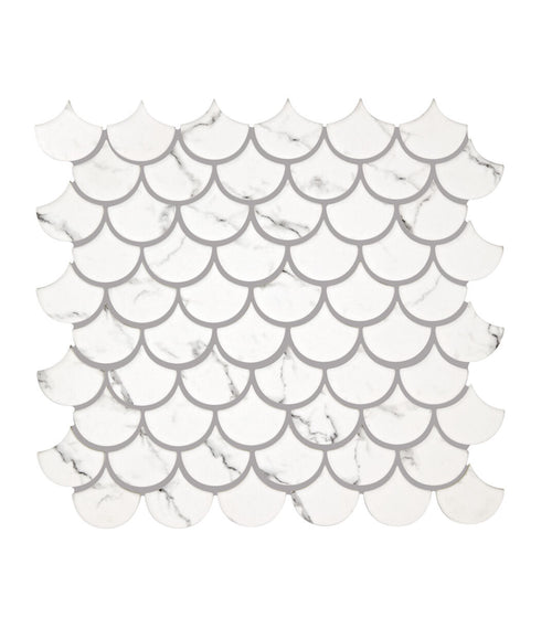 Malmo Scallop