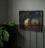 Eggshell / 2.5L Paint [