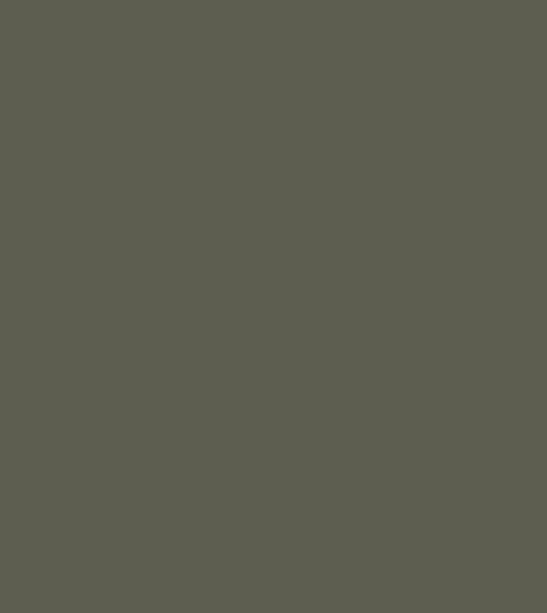 Mermaid's Purse Paint Shorelines Paint Mermaid's Purse Paint Shorelines Paint Mermaid's Purse Paint Shorelines Paint Mermaid's Purse Paint Shorelines Paint Mermaid's Purse Paint Shorelines Paint Mermaid's Purse Paint Shorelines Paint Mermaid's Purse Paint Shorelines Paint