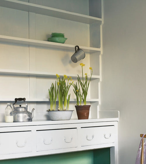 Mockingbird Paint Wall & Ceiling Paint Mockingbird Paint Wall & Ceiling Paint Mockingbird Paint Wall & Ceiling Paint Mockingbird Paint Wall & Ceiling Paint Mockingbird Paint Wall & Ceiling Paint