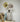 Eggshell / 2.5L Grey Paint Modernist White