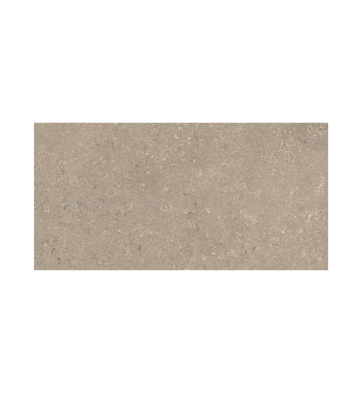 Portland Dorset Sand Tile | Porcelain Tile 60x120 | Fired Earth