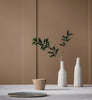 Eggshell / 2.5L Cream & Neutral Paint [
