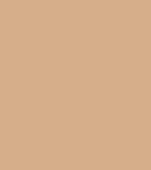 Sand Piper Paint Shorelines Paint Sand Piper Paint Shorelines Paint Sand Piper Paint Shorelines Paint Sand Piper Paint Shorelines Paint