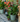 Default Title Autumn Hues Edit Urban Velasco Patterned Porcelain Tile