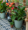 Default Title Autumn Hues Edit Urban Velasco Patterned Porcelain Tile thumbnail