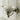 Default Title Bathroom Ranges Bastide Toilet Roll Holder