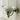 Default Title Bathroom Ranges Bastide Wall Mounted Ceramic Soap Dish