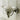 Default Title Bathroom Ranges Bastide Wall Mounted Ceramic Tumbler
