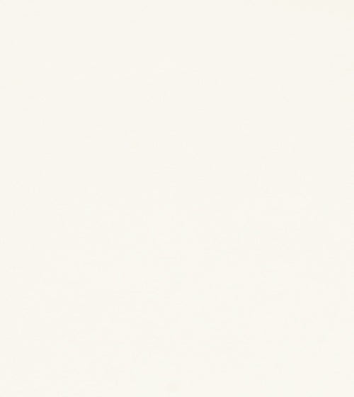 Bilbao Gloss White Wall & Floor Tiles/Wall Tiles