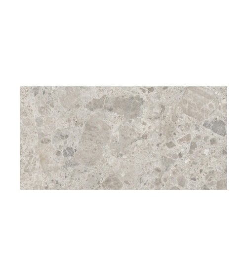 Ceppo Gris 60 x 120