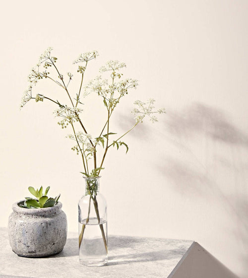 Chalk White