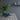 Default Title Bathroom Floor Tiles Designers Guild Shibori Graphite