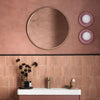 Eggshell / 2.5L Earthy Tone Paint Pompeiian Red thumbnail