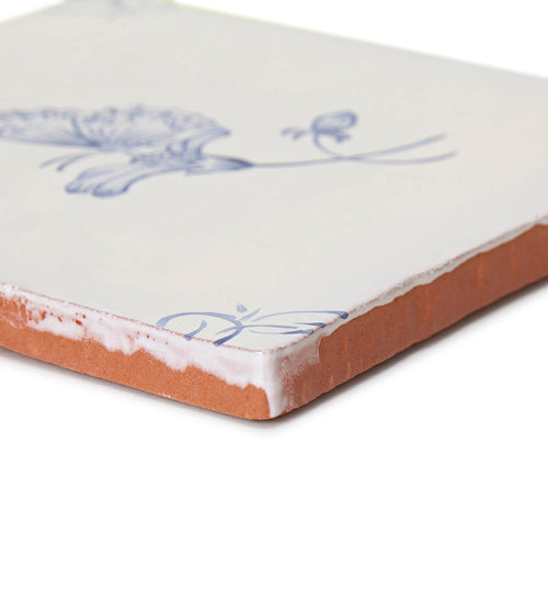English Delft Butterfly 2