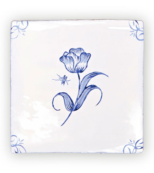 English Delft Tulip