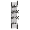 Black Lever Bathroom Ranges Empire Concealed Dual Control Shower with 3 Valves thumbnail