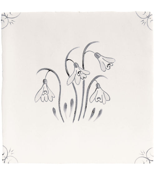 English Delft Charcoal Snowdrop