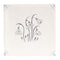 English Delft Charcoal Snowdrop