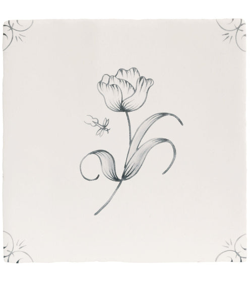 English Delft Charcoal Tulip