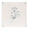 English Delft Charcoal Tulip