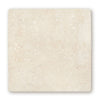 60 x 40 Bathroom Floor Tiles Temple Ezra 30 x 30 Tumbled thumbnail
