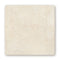 Temple Ezra 30 x 30 Tumbled
