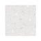 Frammento White