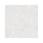 Frammento White
