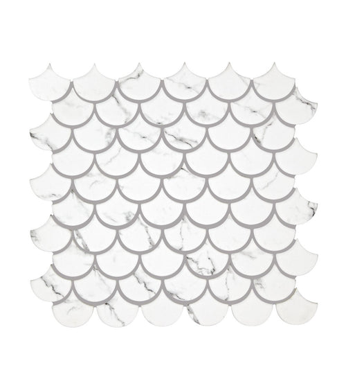 Malmo Scallop