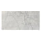 Carrara White Marble