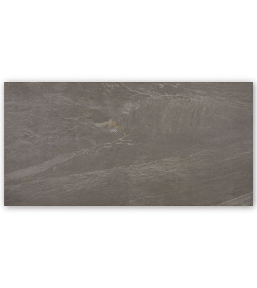 Odyssey 98 x 49 Mentas