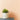 Eggshell / 2.5L Cream & Neutral Paint Old Ochre