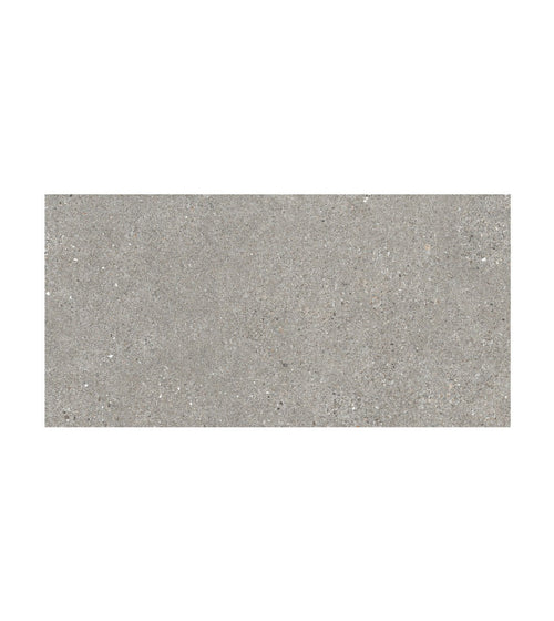 Piazza Grey 60 x 120 Floor Tiles/Extra Large Floor Tiles