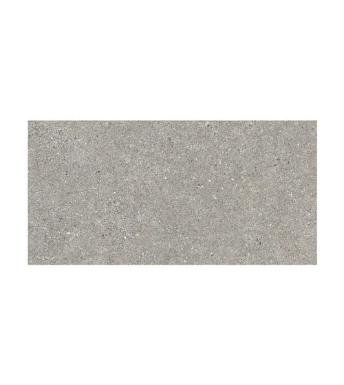 Piazza Grey 60 x 120 Floor Tiles/Extra Large Floor Tiles