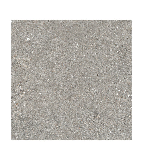 Piazza Grey 60 x 60 Floor Tiles/Large Floor Tiles