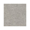 Default Title Bathroom Floor Tiles Piazza Grey 60 x 60 thumbnail