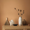 Eggshell / 2.5L Earthy Tone Paint Polo Coat thumbnail