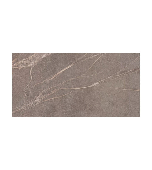Rimini Taupe 60 x 120