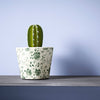 Eggshell / 2.5L Blue Paint Sea Lavender thumbnail