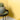 Eggshell / 2.5L Frances Costelloe Paint Edit Weld Yellow