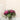 Eggshell / 2.5L Cream & Neutral Paint White Mulberry