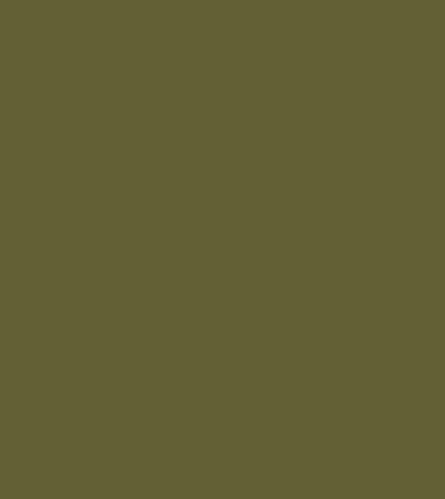 Wild Olive
