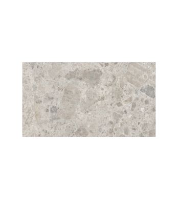 Ceppo Gris 60 x 120